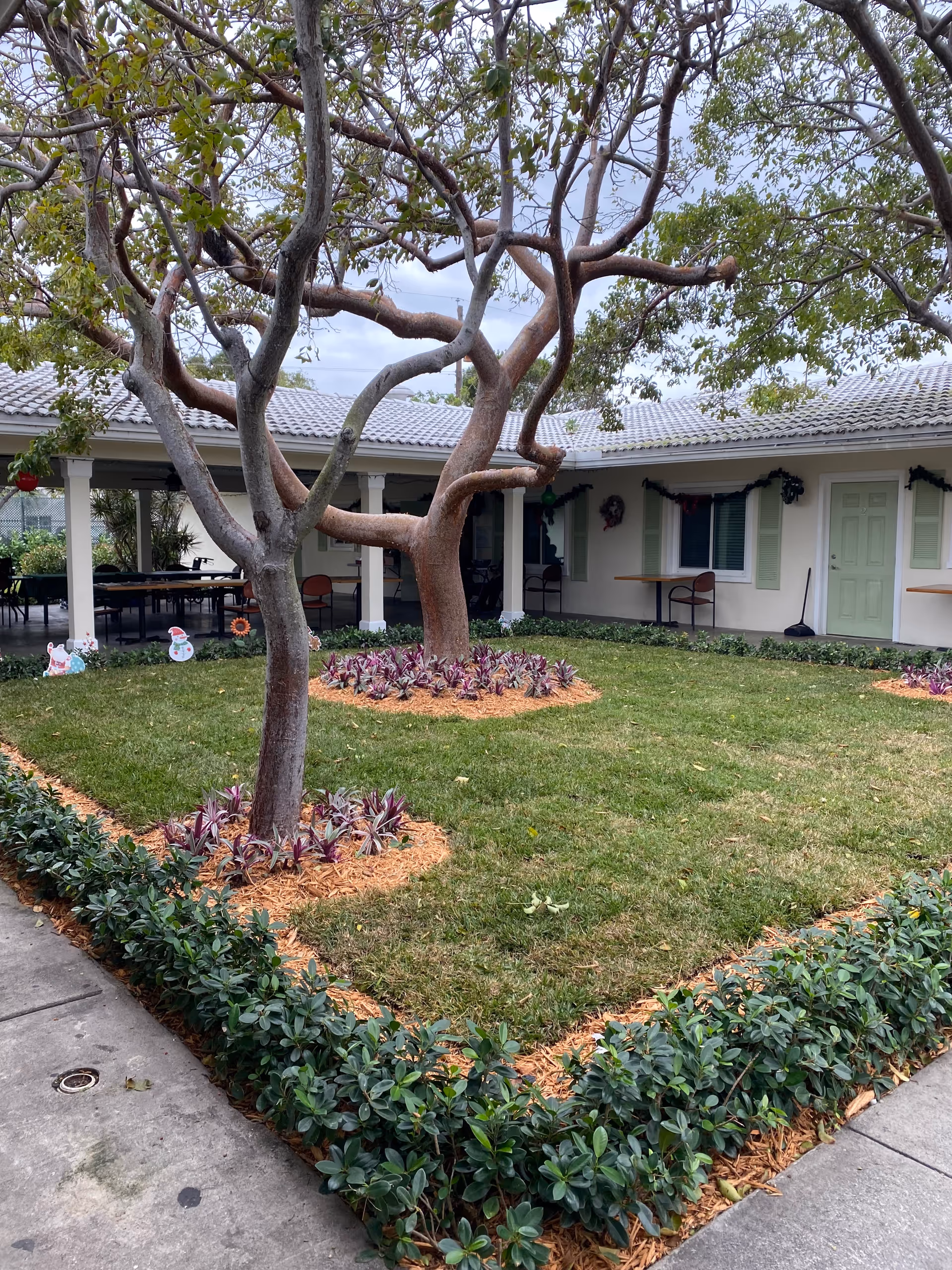 A landscaped central courtyard with trees, mulch-bordered plant beds and a covered walkway in front of ground-floor residence units.