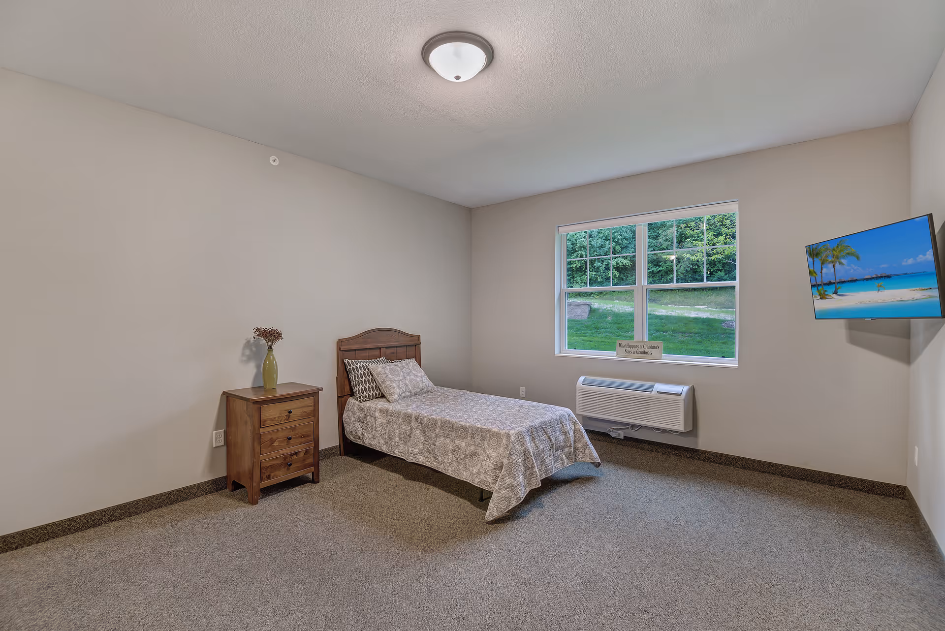 Simple bedroom with a single bed, wooden nightstand, window showing green lawn, and a wall-mounted TV.