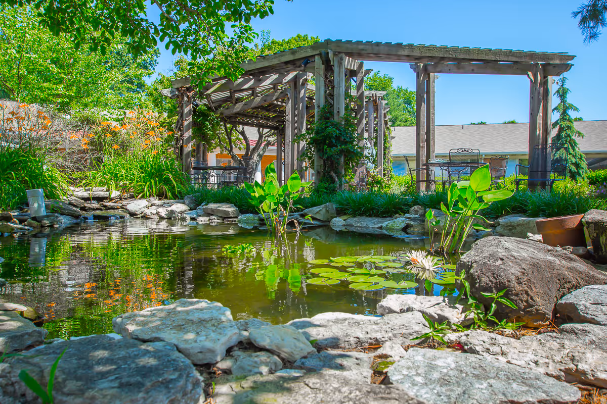 A serene outdoor garden area featuring a small pond with lily pads and a blooming water lily, surrounded by rocks and lush greenery. In the background, there is a wooden pergola with climbing plants and outdoor seating under a clear blue sky.