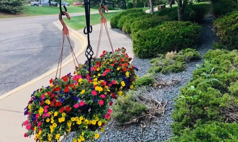 Two hanging baskets filled with colorful flowers including red, yellow, and purple blooms, suspended near a sidewalk with green bushes and a gravel bed alongside it.