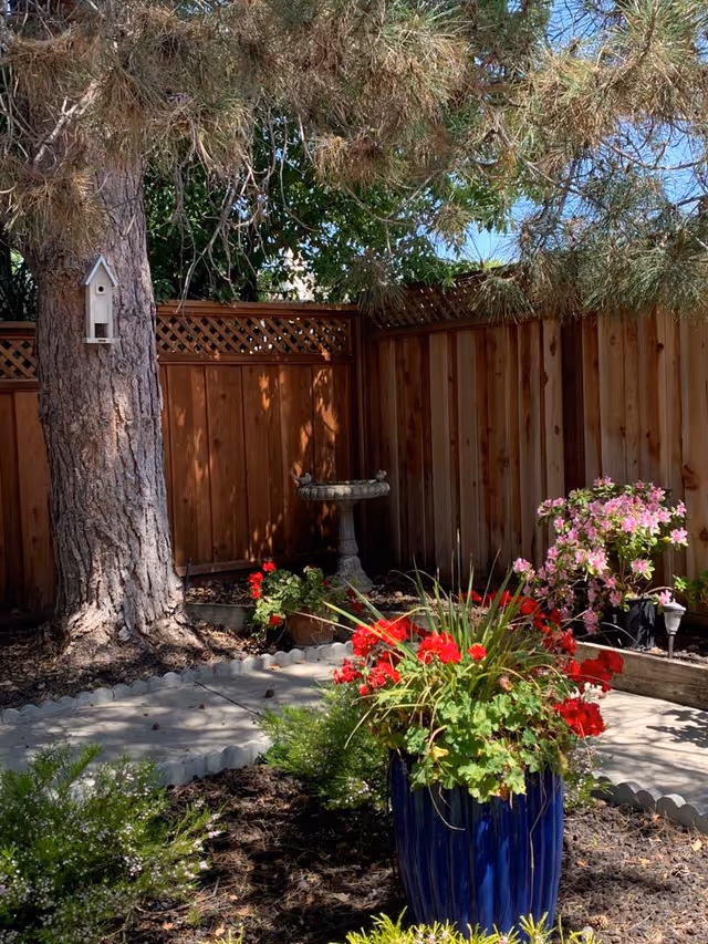 A peaceful outdoor garden area with a large tree featuring a white birdhouse attached to its trunk. There is a wooden fence in the background, a stone birdbath, and various flowering plants including red and pink flowers in pots and garden beds. A paved pathway runs through the garden.