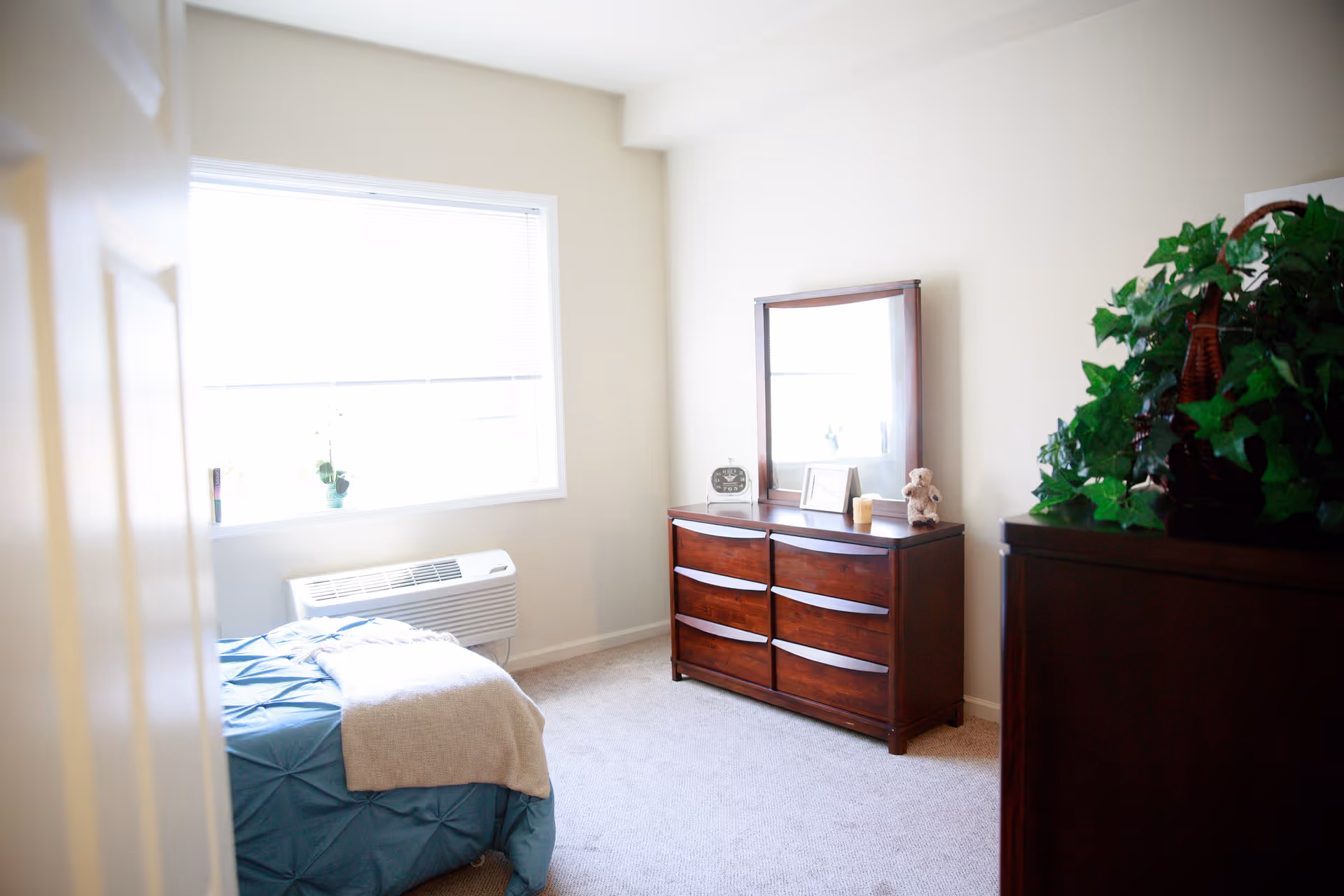 A bright bedroom with a large window letting in natural light. The room features a bed with a blue comforter and a beige throw blanket, a wooden dresser with a mirror, and a potted plant on another piece of wooden furniture.