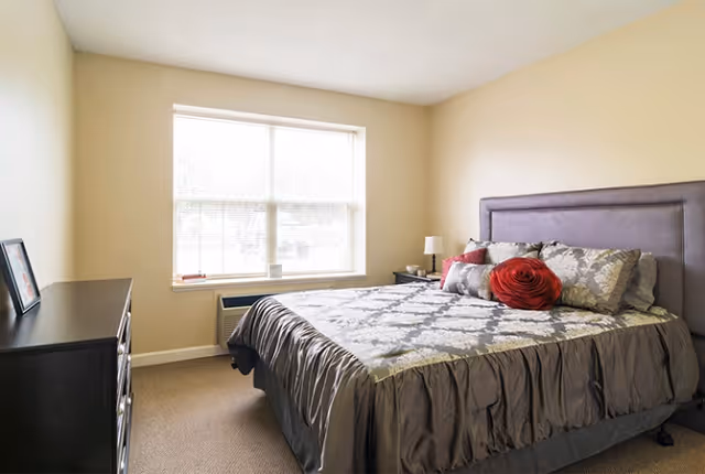 Bright bedroom with a large bed dressed in patterned bedding and decorative pillows, a dresser, nightstand with lamp, and a window.