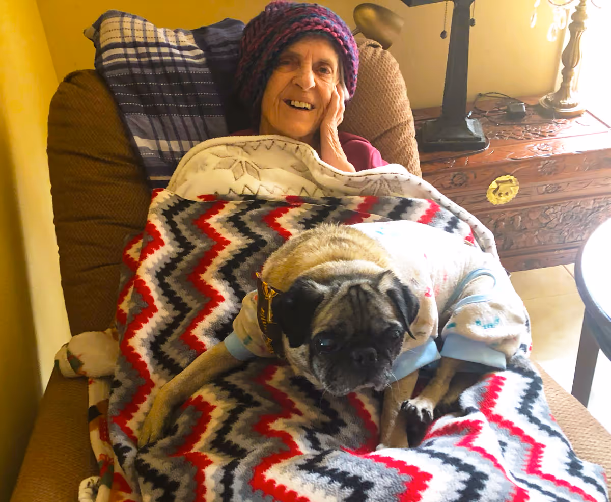 An elderly person wearing a knitted hat is sitting comfortably in a cushioned chair, covered with a colorful zigzag patterned blanket. A small dog dressed in a light-colored outfit is lying on the person's lap. The background shows a wooden side table with a lamp and some items on it.