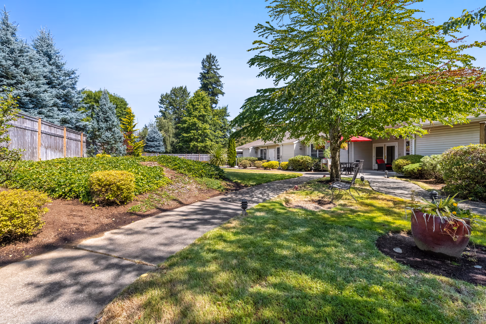 A sunny outdoor garden area at Aegis Living Kent featuring a paved walkway, green grass, various bushes and trees, a bench, and a large planter. Residential buildings with patios and outdoor furniture are visible in the background.