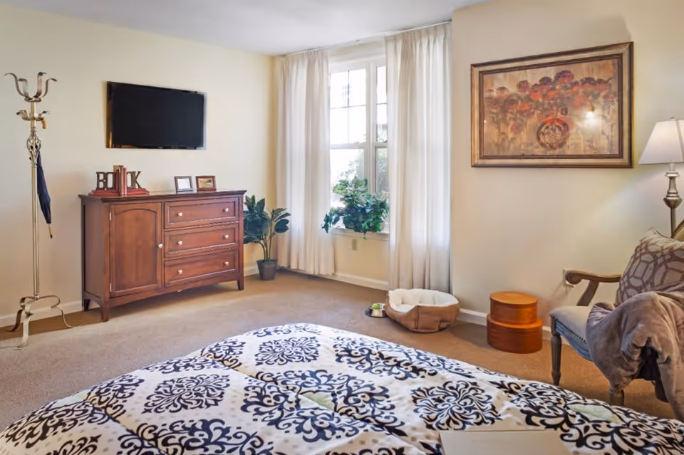 A cozy bedroom with a patterned bedspread in the foreground, a wooden dresser with decorative items and a wall-mounted TV, a window with white curtains letting in natural light, a pet bed and food bowls on the floor, a framed floral painting on the wall, and a cushioned chair with a blanket draped over it next to a floor lamp.