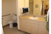 A clean bathroom with a toilet, a trash bin, a sink with a countertop and cabinets underneath, a wall-mounted soap dispenser, and a mirror. The bathroom has light-colored walls and flooring.
