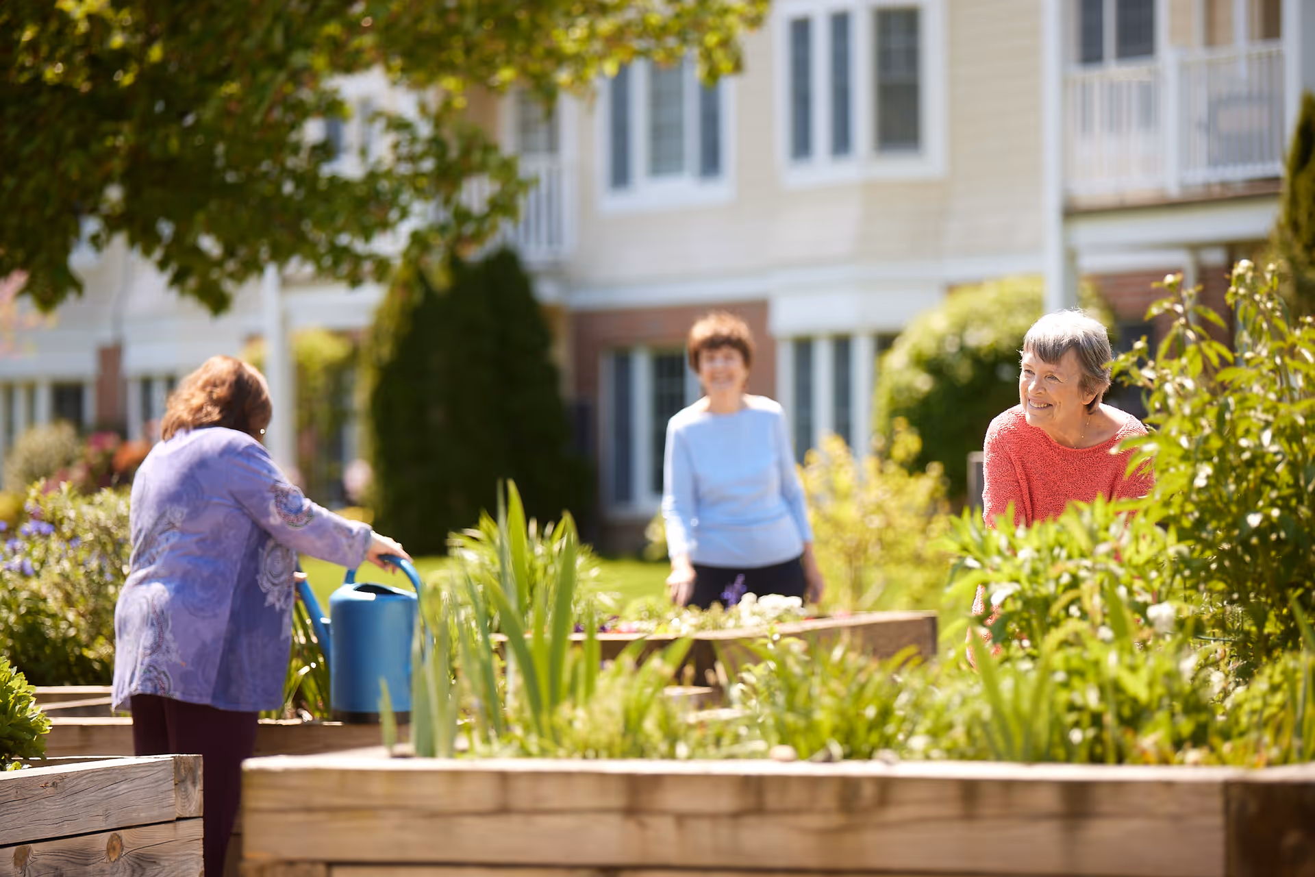Three elderly women enjoying gardening in raised wooden garden beds outside a residential building on a sunny day. One woman is watering plants with a blue watering can, while the other two women are smiling and tending to the plants.