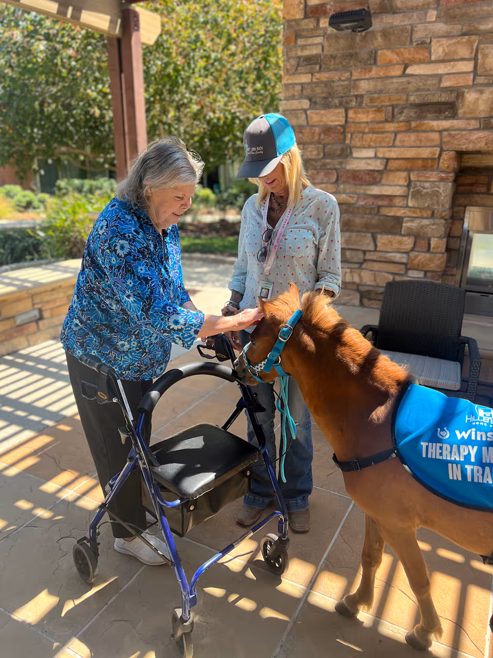 An elderly woman using a walker is petting a small therapy horse wearing a blue vest that says 'THERAPY M IN TRA'. A woman wearing a cap and casual clothes is standing beside the horse, smiling. They are outside on a patio area with stone walls and greenery in the background.