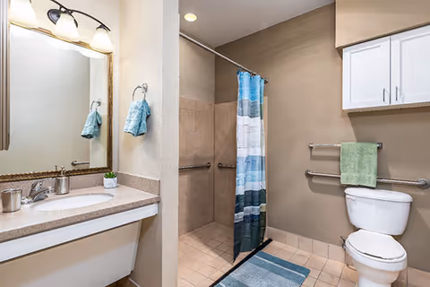 Accessible bathroom featuring a vanity and mirror, a walk-in tiled shower with a blue-striped curtain, and a toilet with grab bars and towels.