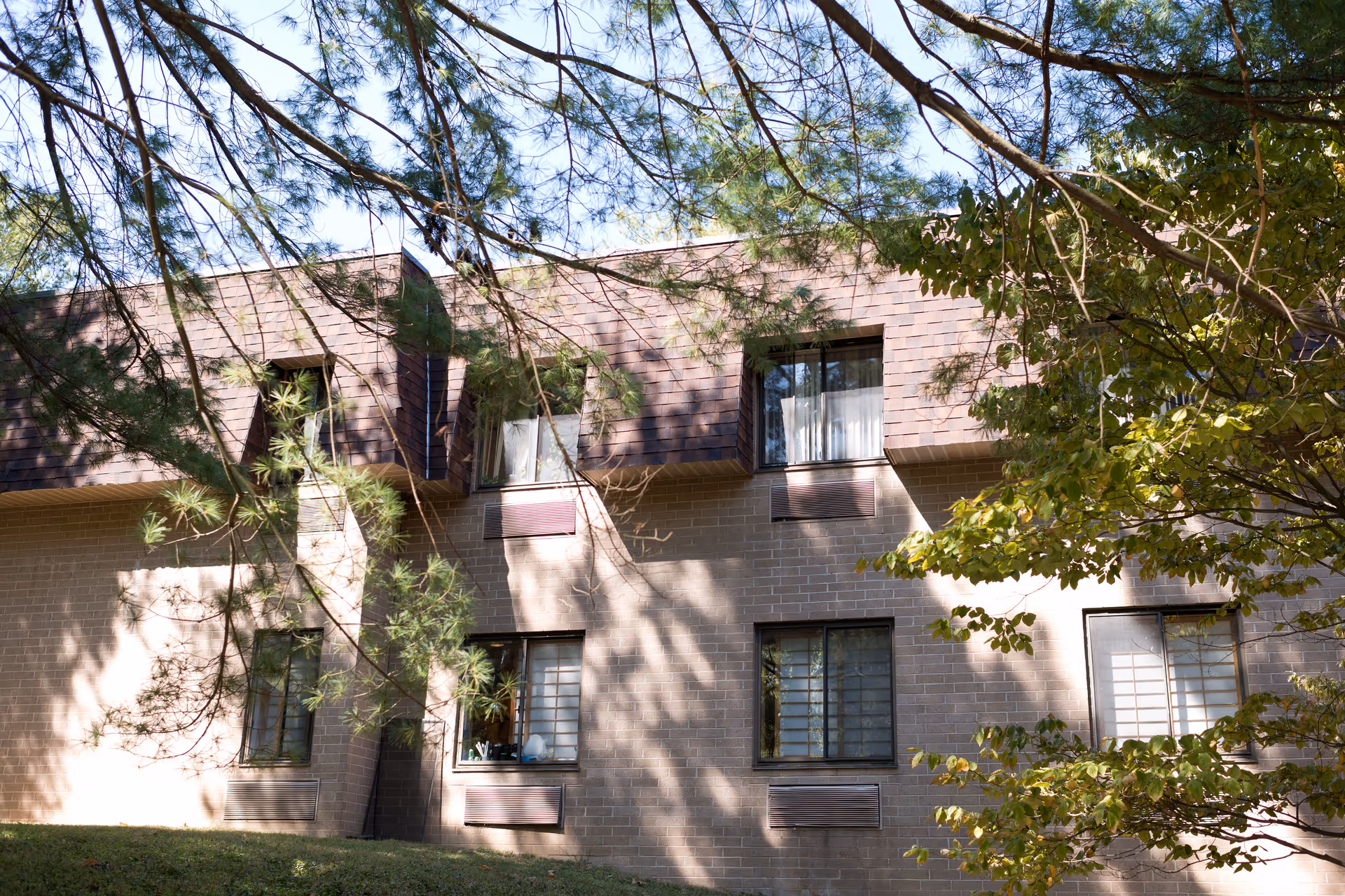 Exterior view of a two-story brick building partially obscured by tree branches with green leaves, showing several windows with curtains and air conditioning units beneath them.