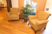 Two patterned upholstered armchairs flanking a potted plant in front of a curtained window on a hardwood floor with a dining area visible in the background.