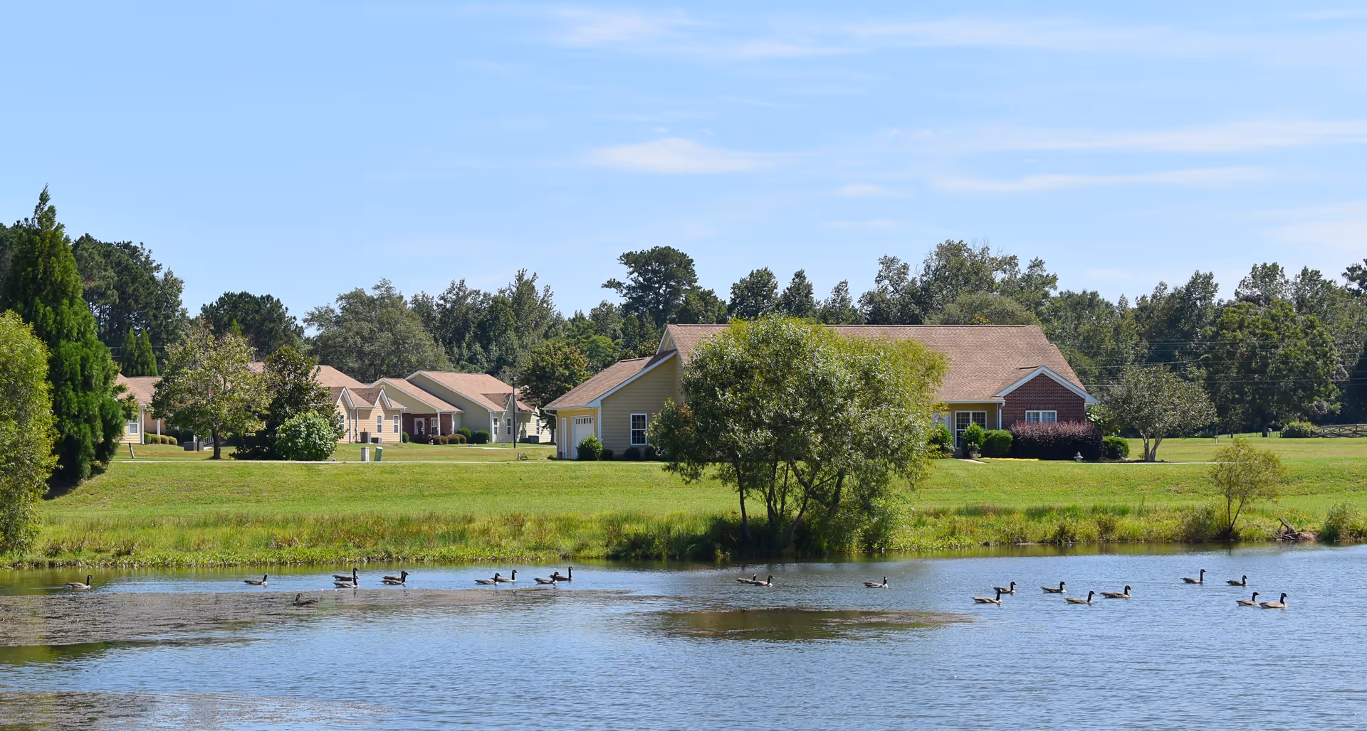 A peaceful outdoor scene at Ignite at Palmetto Park featuring a pond with ducks swimming, surrounded by green grass and trees, with single-story residential buildings in the background under a clear blue sky.