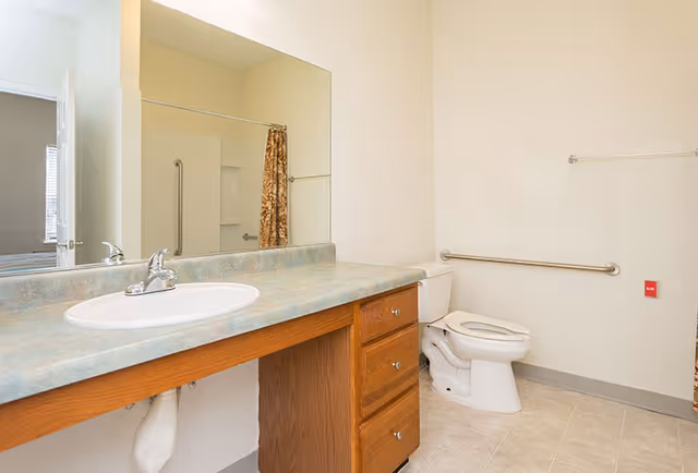 A clean bathroom with a large mirror above a countertop with a sink, wooden cabinets below, a toilet with a grab bar on the wall beside it, and a shower with a floral curtain visible in the reflection of the mirror.