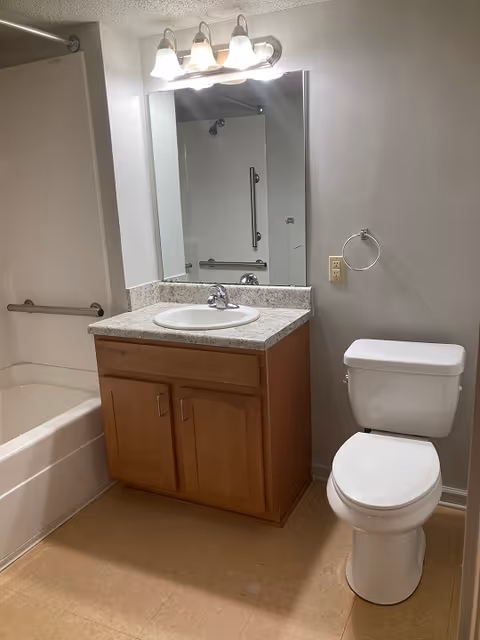 Small bathroom with a vanity and sink beneath a mirror, a toilet, and a bathtub with grab bars.