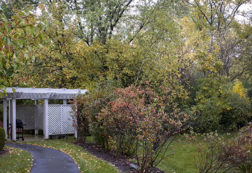 Curved paved path leading past shrubs and trees to a white lattice pergola in a landscaped outdoor area.