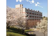 A multi-story building surrounded by blooming trees with white and pink flowers under a clear blue sky, with a curved driveway in front.