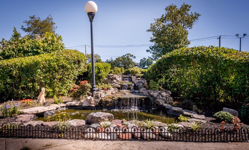 A landscaped outdoor garden with a stone waterfall and pond surrounded by shrubs and a lamppost.