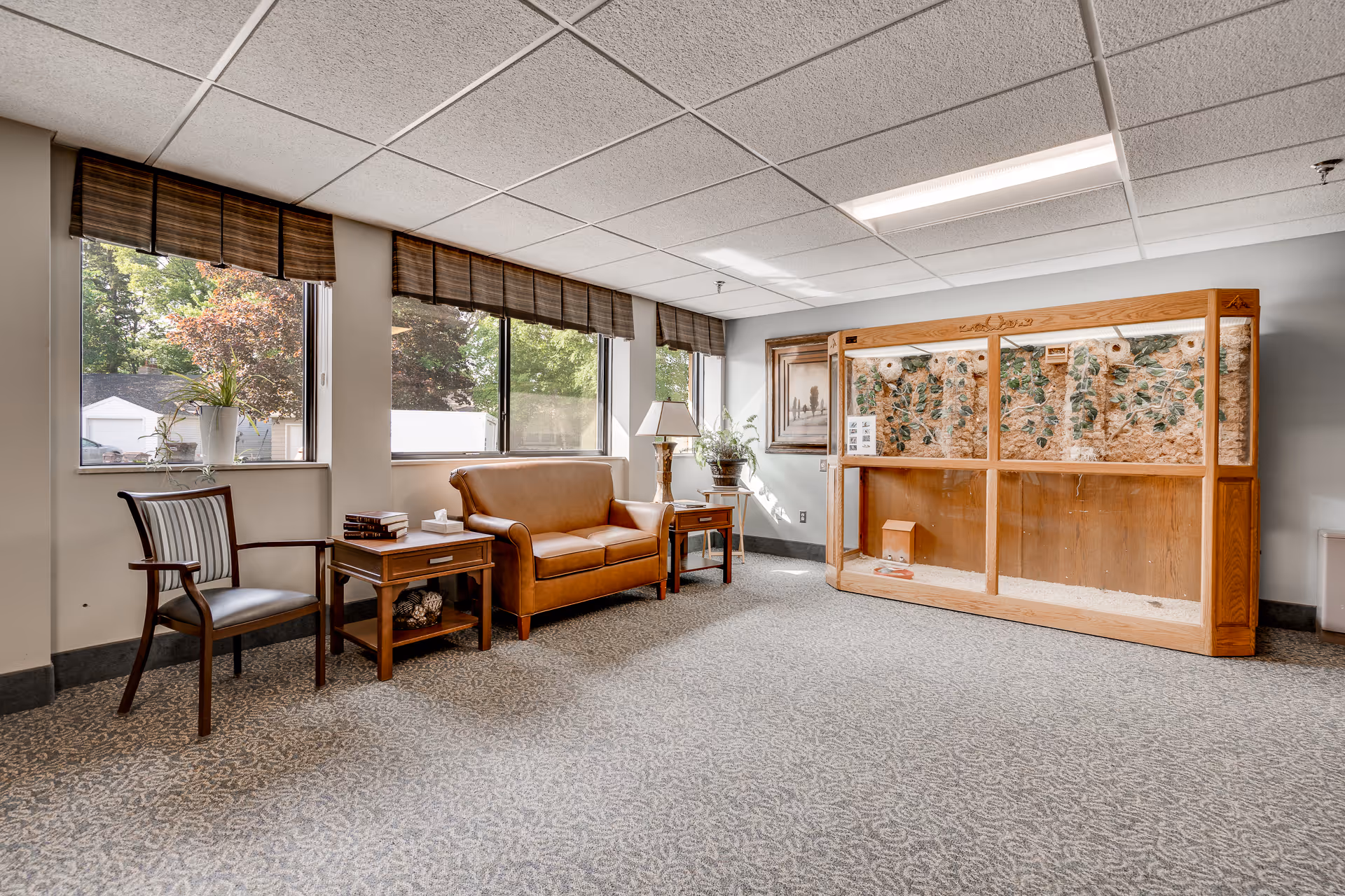A bright sitting area with large windows covered by brown blinds, featuring a brown leather loveseat, a wooden side table with books and a tissue box, a wooden chair with a striped cushion, and a large wooden ant farm display case against the wall. There are also two potted plants and a framed picture on the wall.