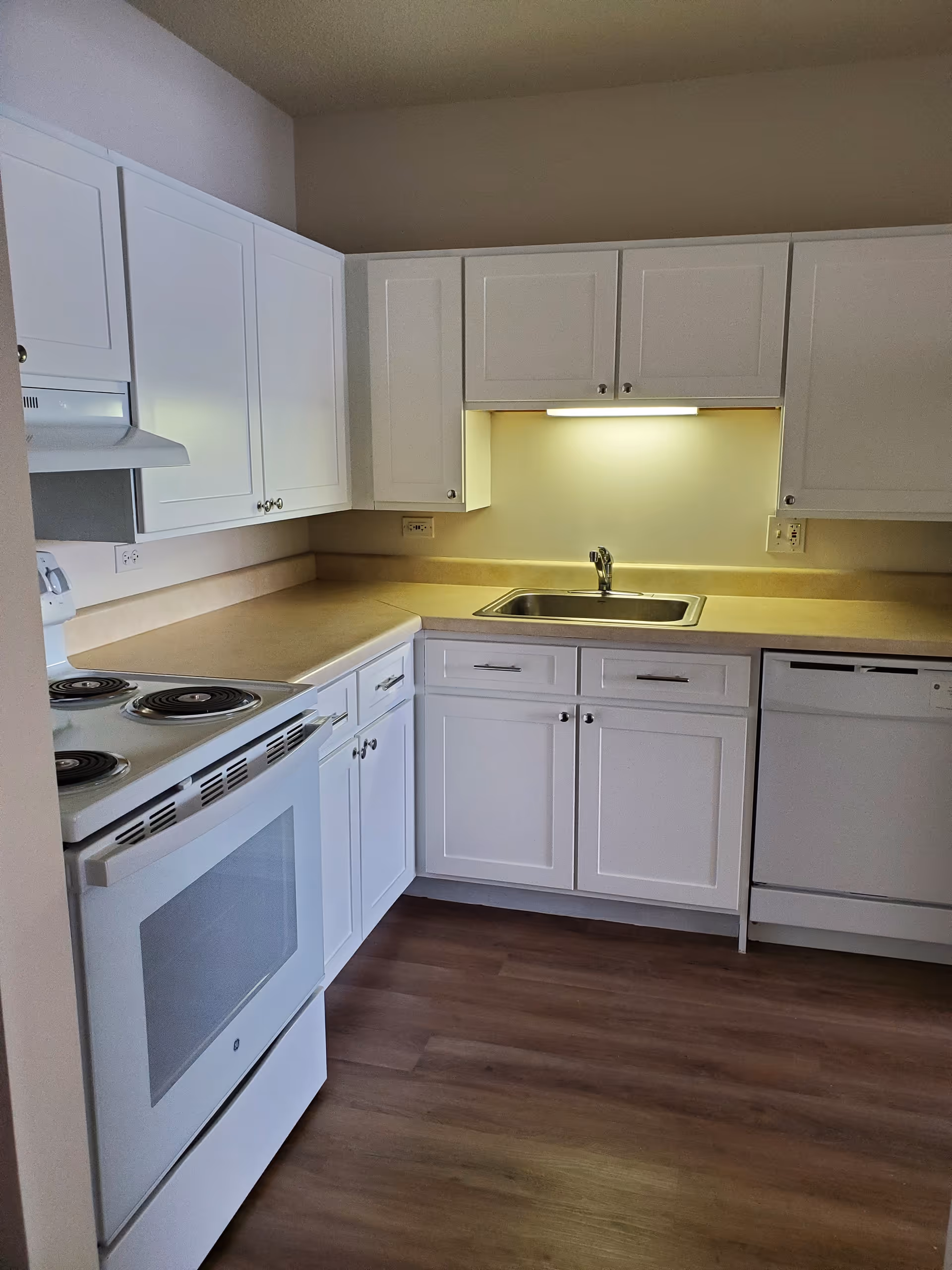 Small U-shaped kitchen with white cabinets, an electric stove, sink under-cabinet light, dishwasher, and wood-look flooring.