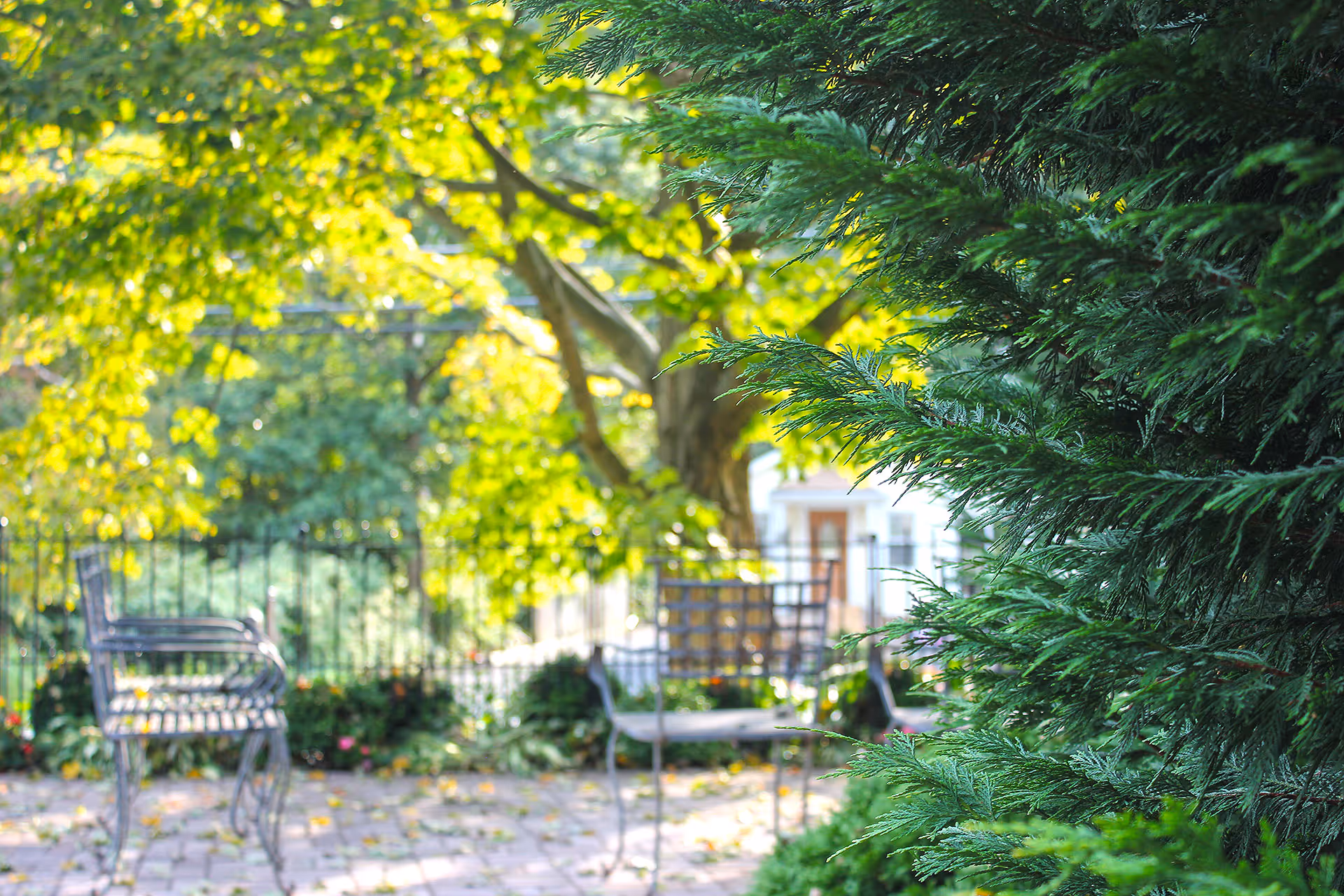 A peaceful outdoor garden area with metal chairs on a brick patio surrounded by lush green trees and plants, with sunlight filtering through the leaves.
