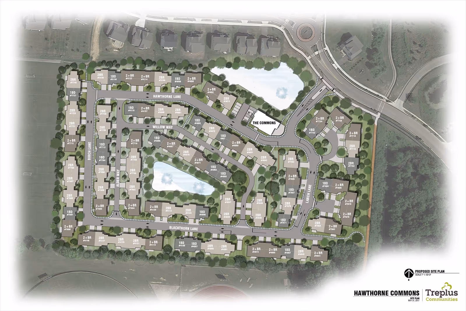 A detailed proposed site plan for Hawthorne Commons showing multiple residential buildings arranged around roads named Hawthorne Lane, Willow Way, Birch Lane, Alder Way, Blackthorn Lane, and Larch Lane. The plan includes green spaces, two ponds, parking areas, and a central building labeled The Commons. The layout is surrounded by trees and adjacent to a road with a roundabout.