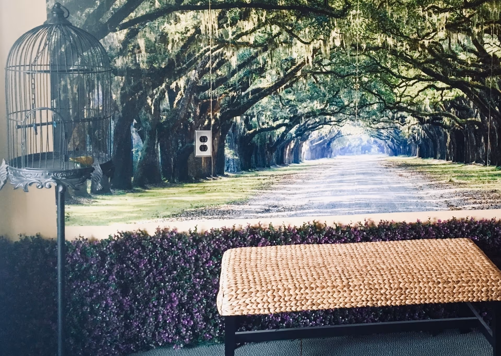 Indoor scene with a decorative birdcage on a stand to the left, a woven bench in the foreground, and a large wall mural depicting a tree-lined pathway with sunlight filtering through the branches. The mural includes an electrical outlet visible on the wall.