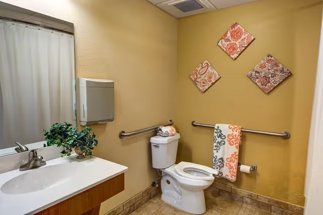 A clean bathroom with a white toilet, a white sink with a silver faucet, a large mirror, and a paper towel dispenser. The walls are painted beige and decorated with three square patterned wall hangings. There are safety grab bars near the toilet, and a colorful towel hangs on one of the bars. A small green plant is placed on the sink counter.