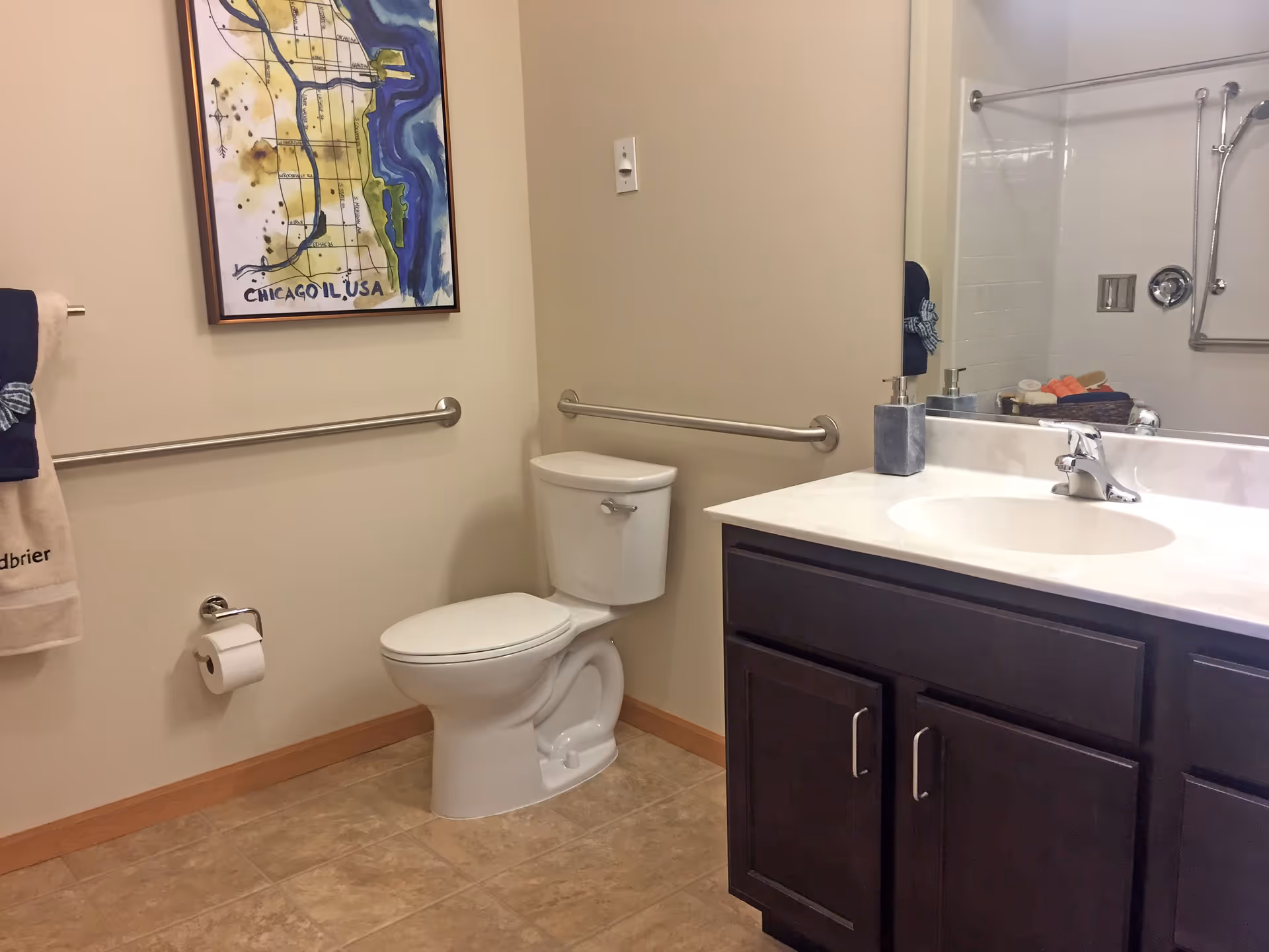 A clean accessible bathroom with a toilet, vanity sink and mirror, grab bars, and framed artwork on the wall.