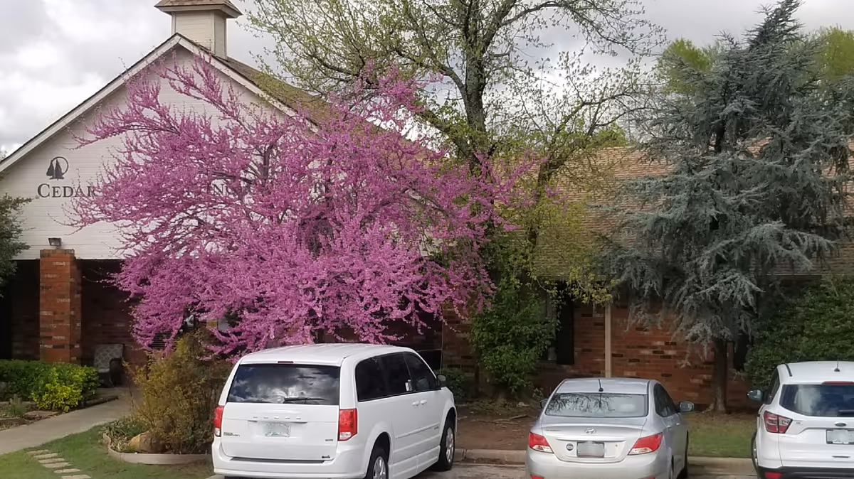 Front of a brick senior living building with a large pink-flowering tree and three parked cars in front.