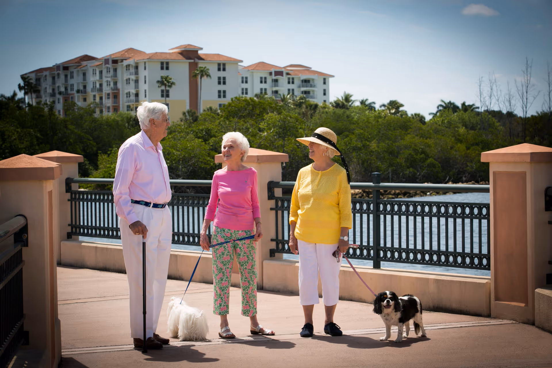 Three elderly people standing on a paved walkway near a waterfront railing, with two small dogs on leashes. Behind them are trees and a multi-story building with a red-tiled roof under a clear blue sky.