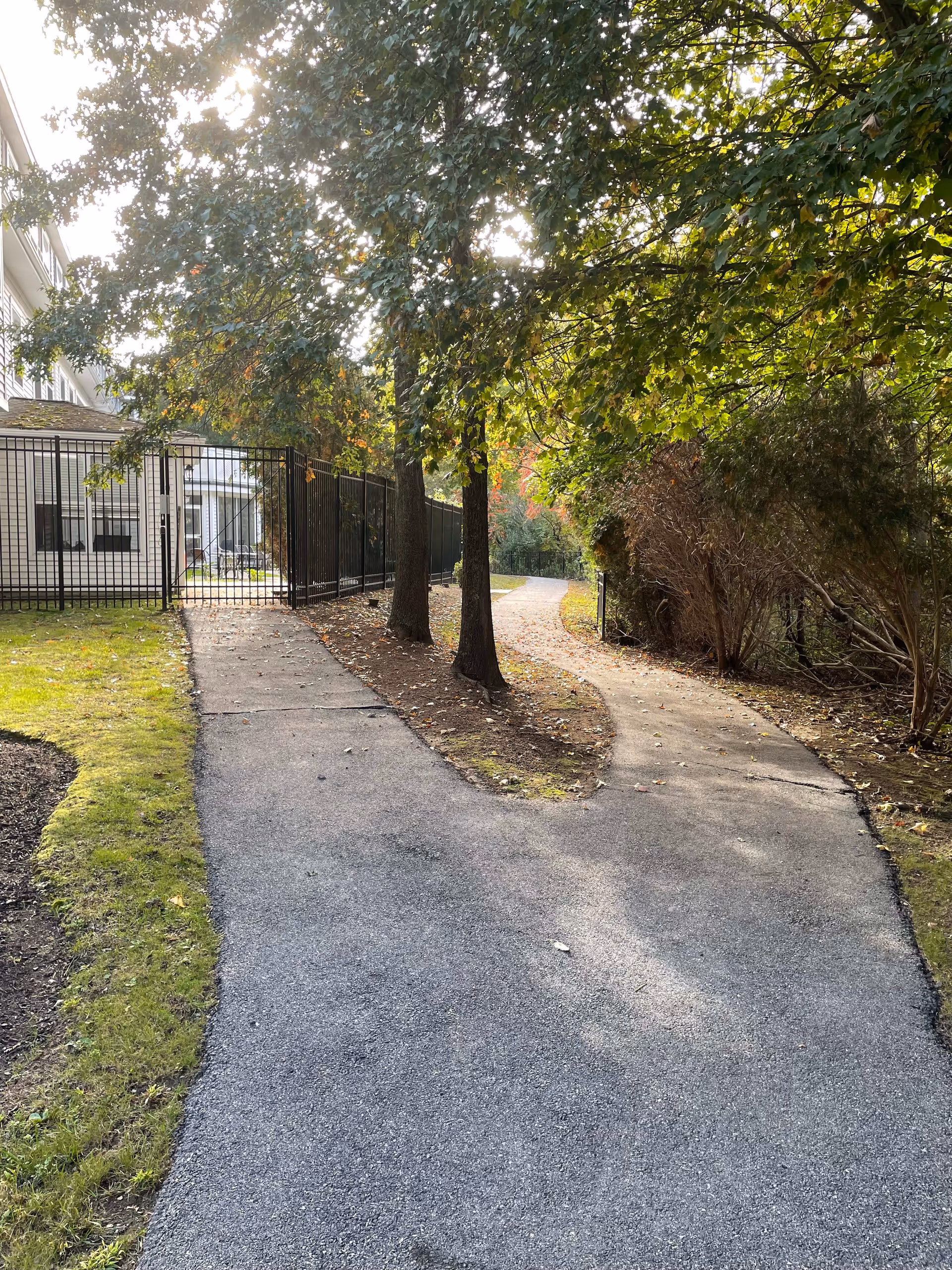 A paved pathway in an outdoor garden area with trees and bushes on either side. The path splits into two directions near a black metal fence that encloses part of a building. Sunlight filters through the leaves, creating a serene and natural atmosphere.