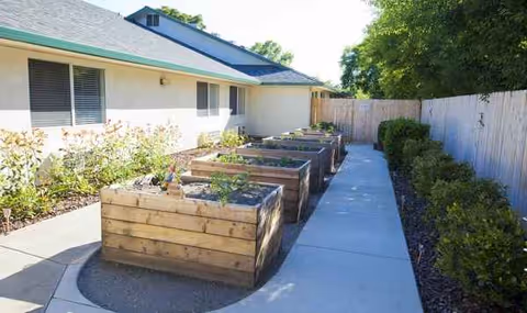 Raised wooden garden planters line a concrete walkway beside a single-story building.