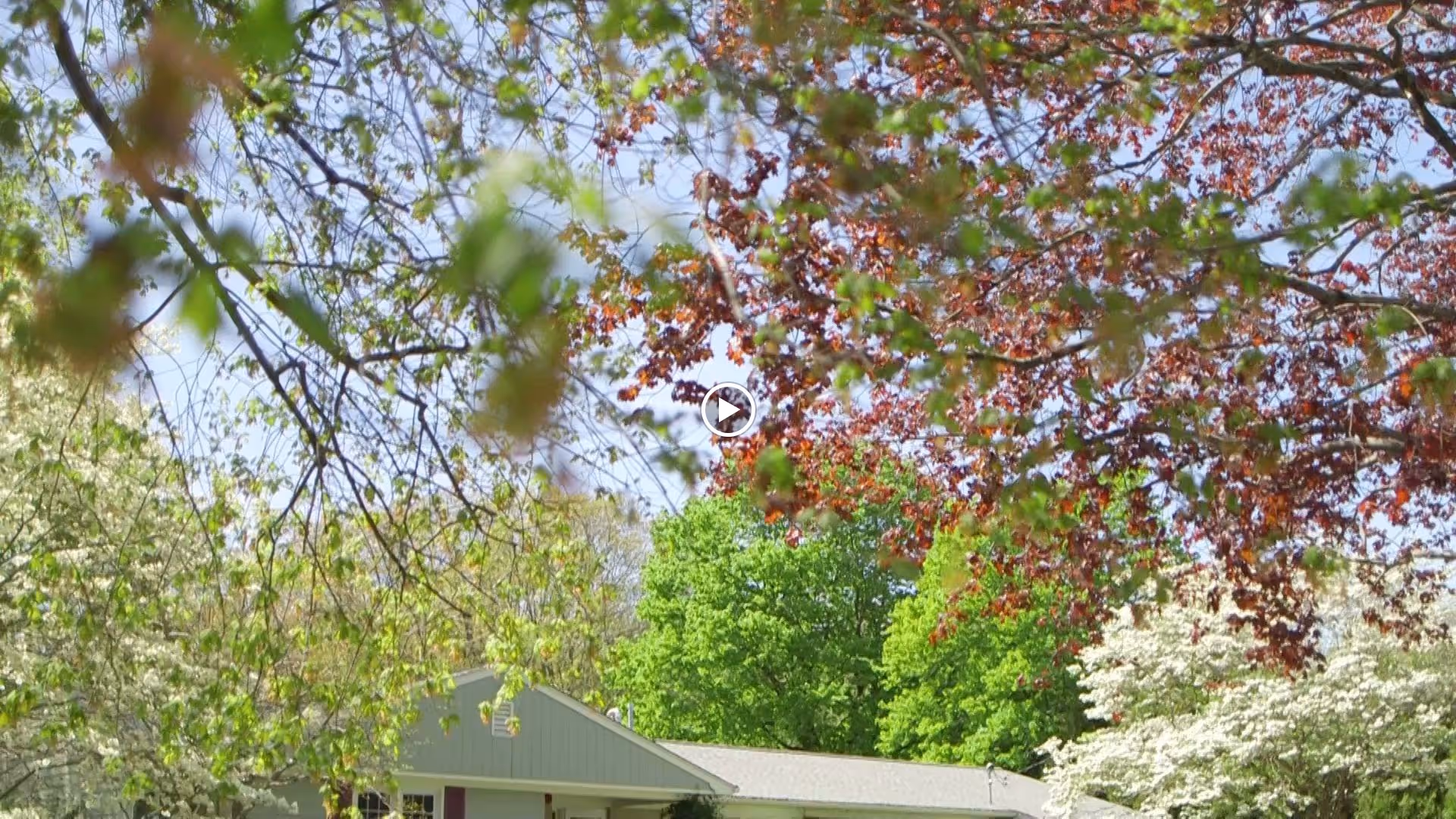 View of lush green trees and flowering branches with a partial roof of a building visible in the background under a clear sky.