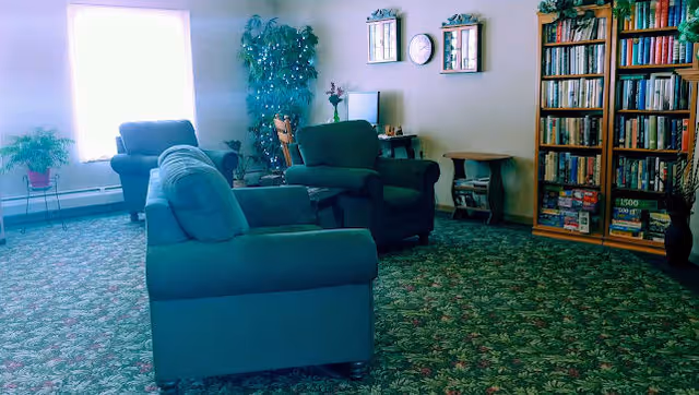A cozy living room area with green upholstered armchairs arranged on a floral carpet. There is a large window letting in natural light, a tall artificial plant, a wooden bookshelf filled with books and board games, and a small table with a clock and decorative items on the wall.