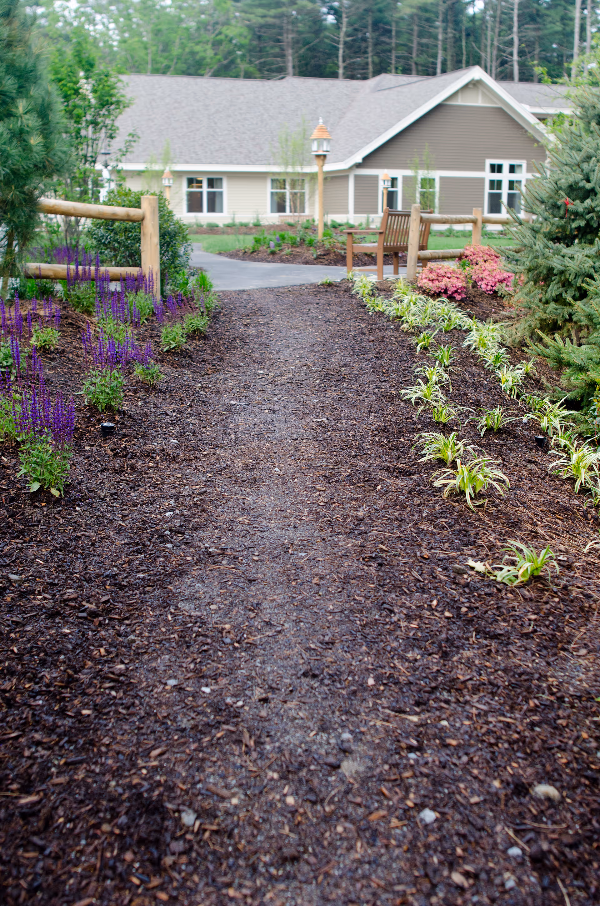 Mulched garden path lined with flowers and plants leading to a bench and a single-story building surrounded by trees.