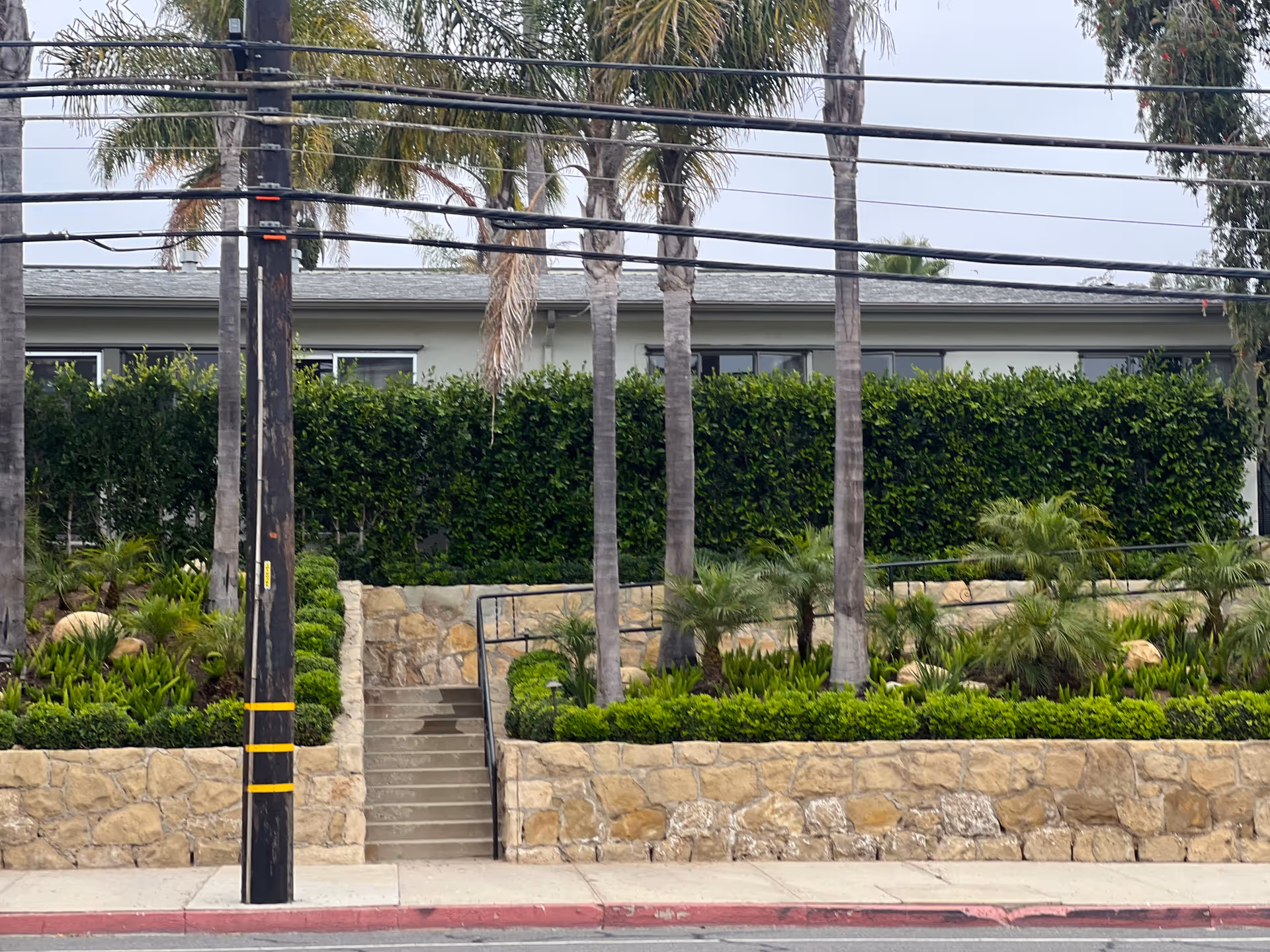 Stone retaining wall with steps leading up to a hedge-lined building front flanked by palm trees and a utility pole with overhead wires.