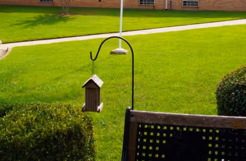 A hanging bird feeder beside a bench on a well-kept grassy lawn.