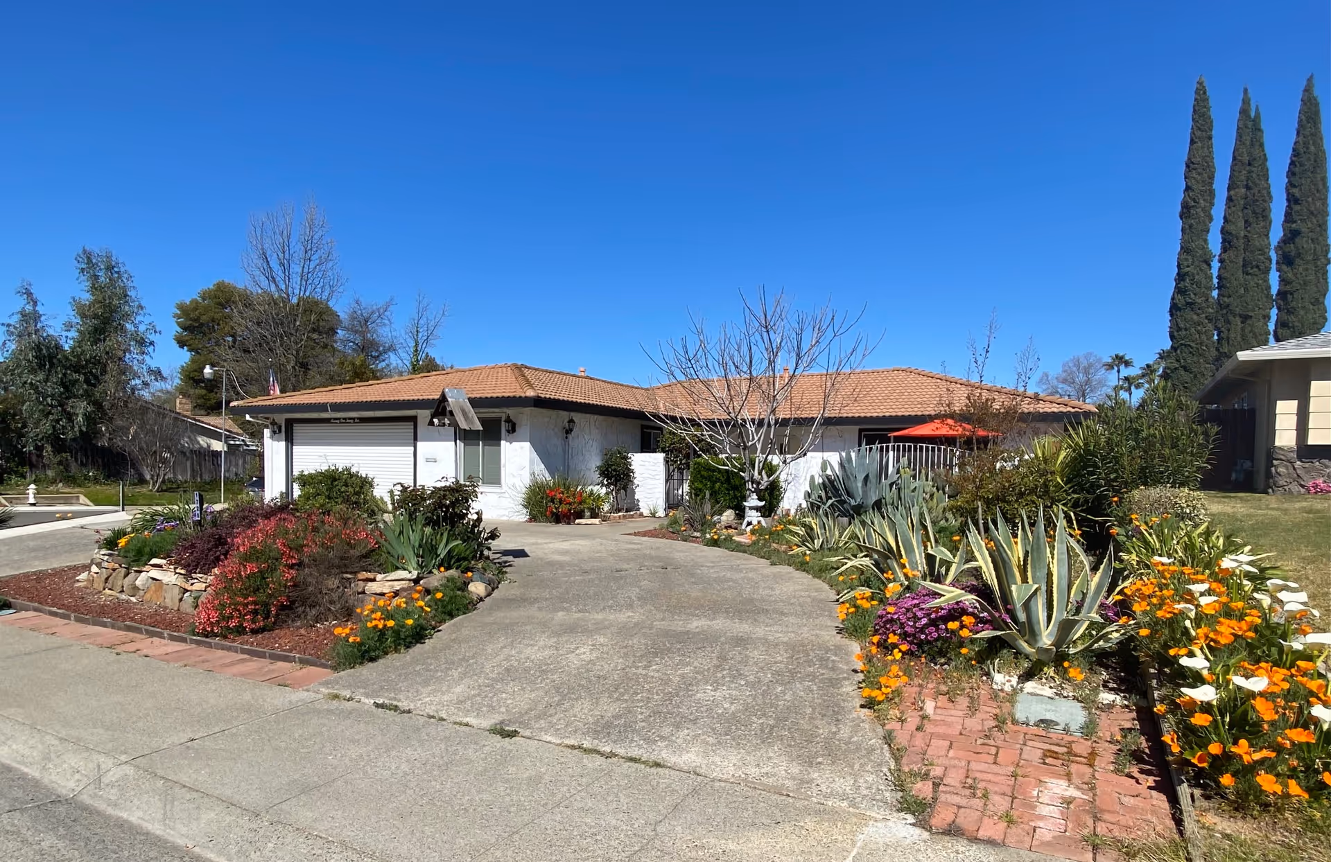 Single-story residential building with a tiled roof, surrounded by a well-maintained garden featuring various plants and colorful flowers. A concrete driveway leads to a garage with a closed white door. The sky is clear and blue.