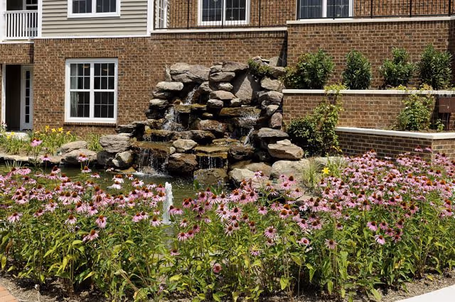 A landscaped outdoor area at Regency Crest featuring a rock waterfall with water cascading into a pond, surrounded by blooming purple coneflowers and greenery. The background shows a brick building with windows and a door.