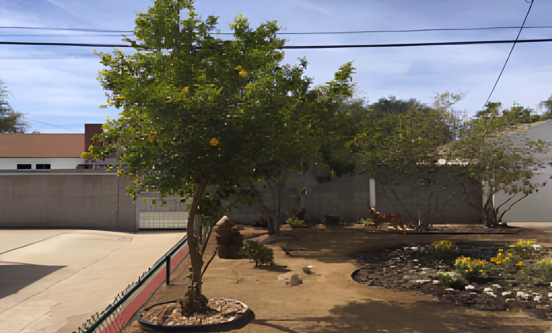 Outdoor courtyard area with a small tree, flower beds, and a driveway beside a concrete wall.