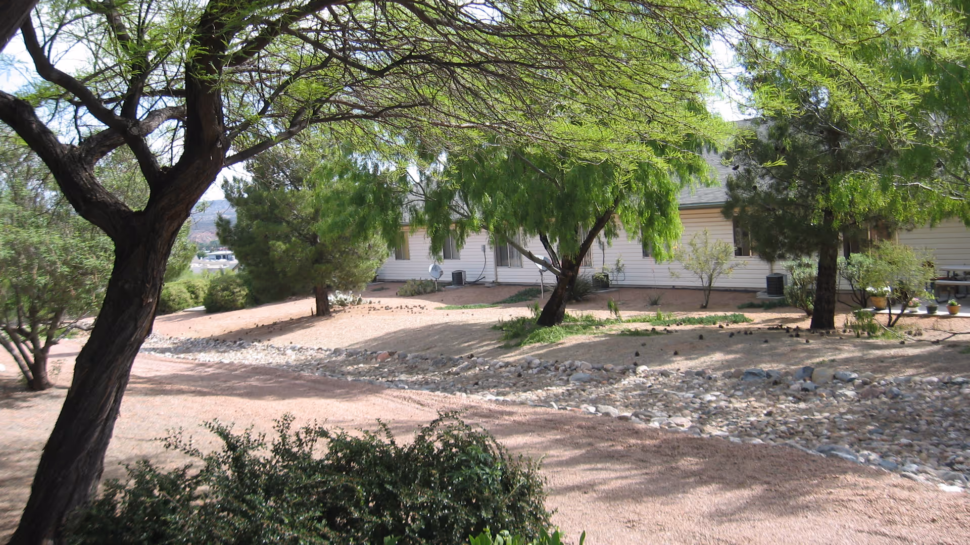 Gravel path and dry landscaped yard with trees and shrubs in front of a single-story building.