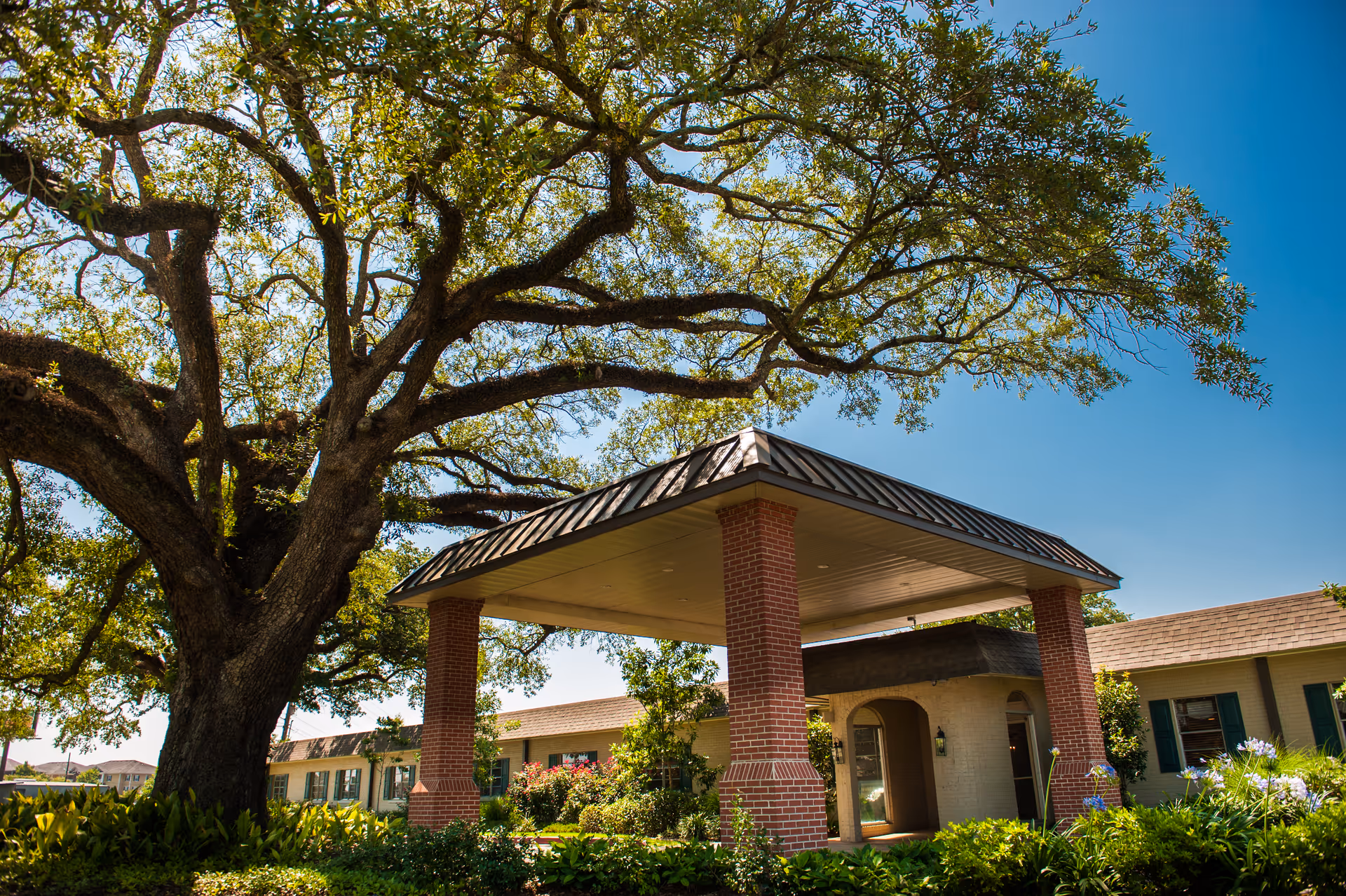A large oak tree shades the covered brick entrance of a low-rise retirement facility under a clear blue sky.