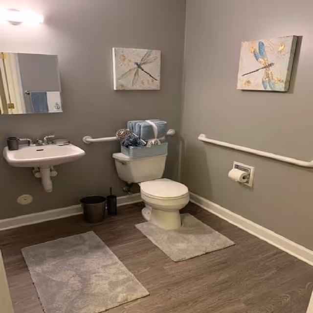 A clean and accessible bathroom with a white toilet and wall-mounted sink. There are grab bars on the walls beside the toilet and sink. Two light gray bath mats are placed on the wooden floor. Above the toilet, there are two decorative paintings featuring dragonflies. A small trash can and toilet brush are next to the toilet.