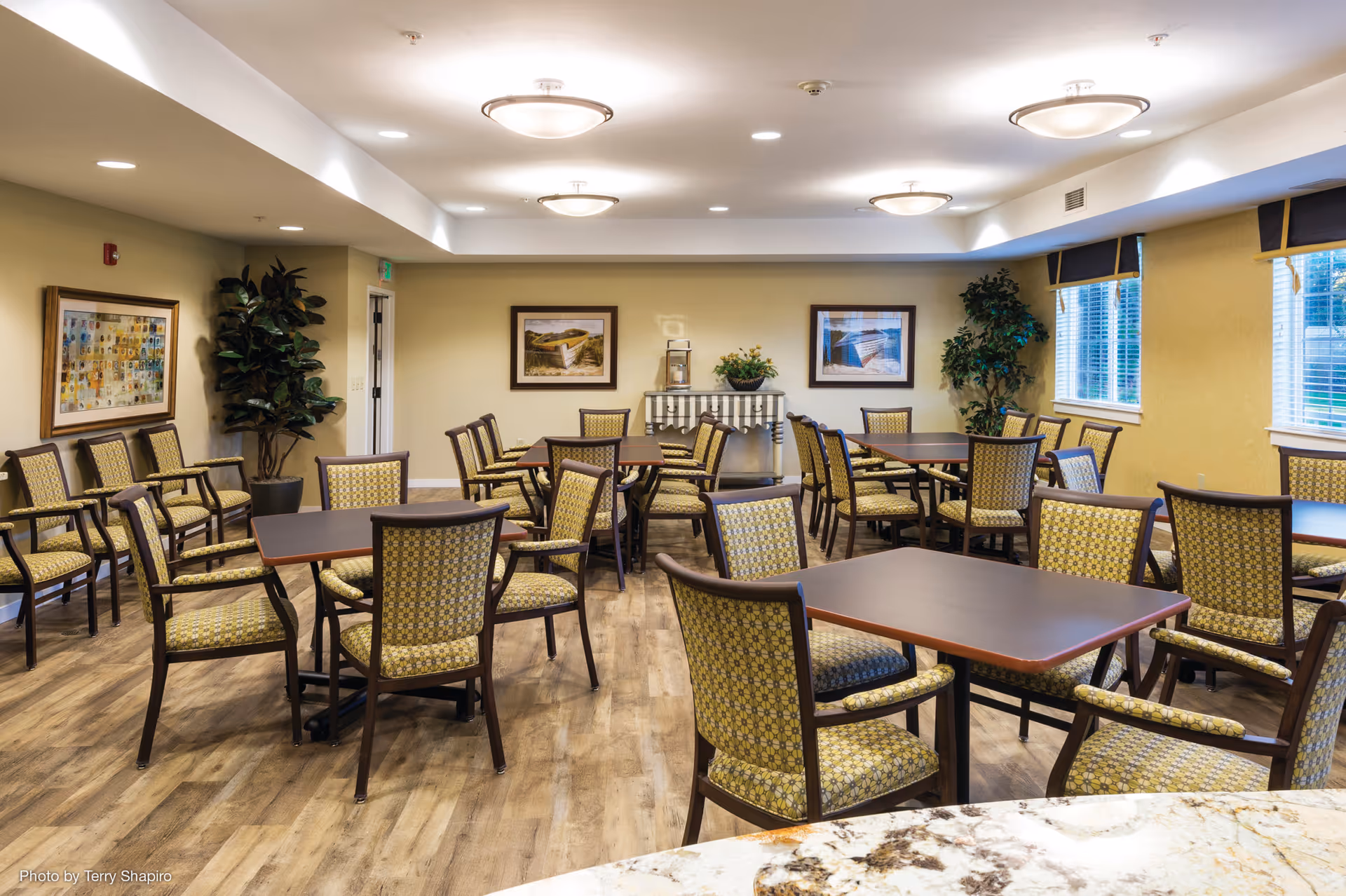 Bright communal dining room with multiple tables and patterned chairs, artwork on the walls, and potted plants.
