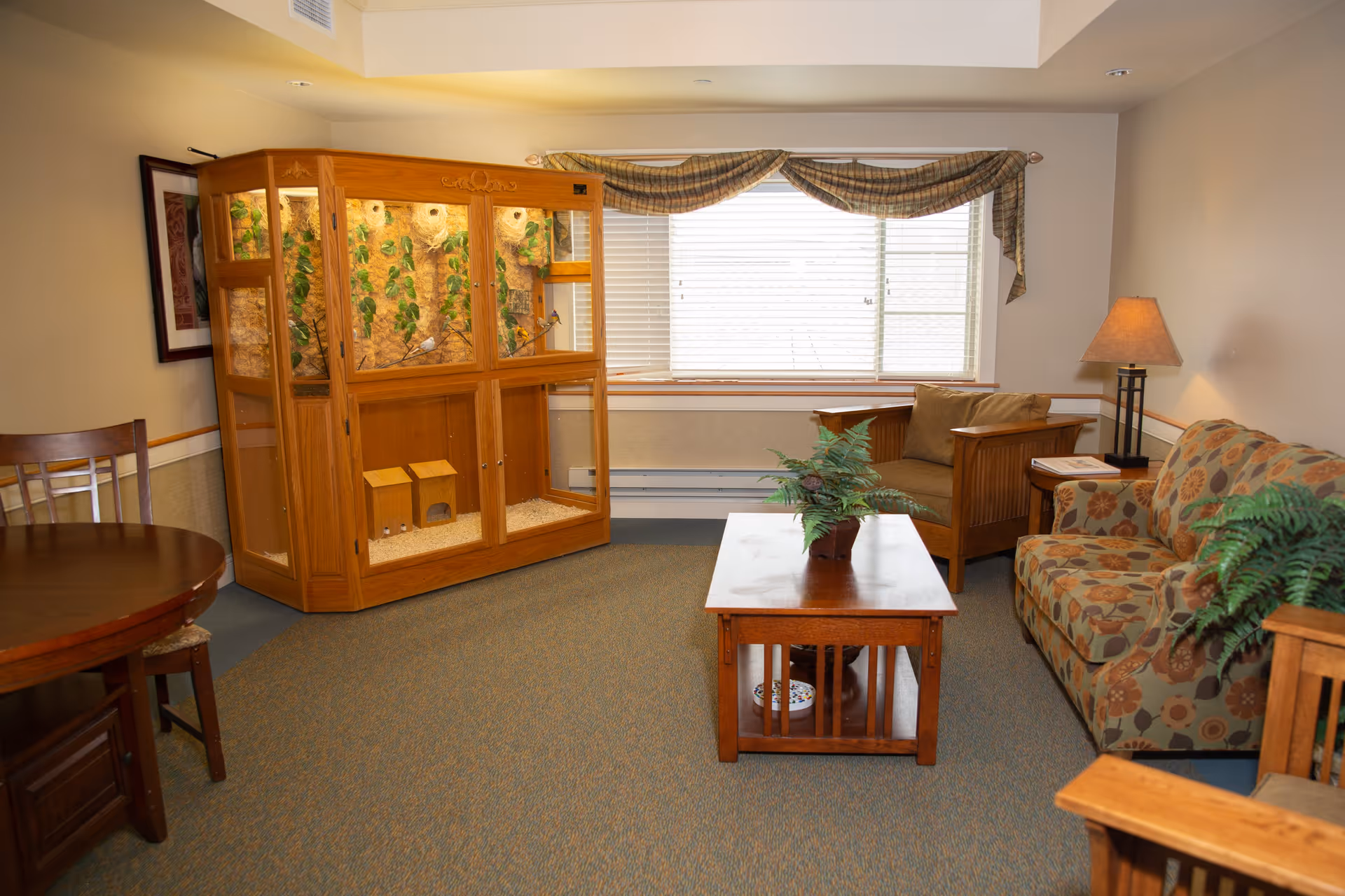 A cozy living room with a patterned sofa, wooden armchair, wooden coffee table with a potted plant, a wooden birdcage with greenery inside, a round wooden dining table with chairs, a window with blinds and a plaid valance, and a floor lamp with a beige shade.