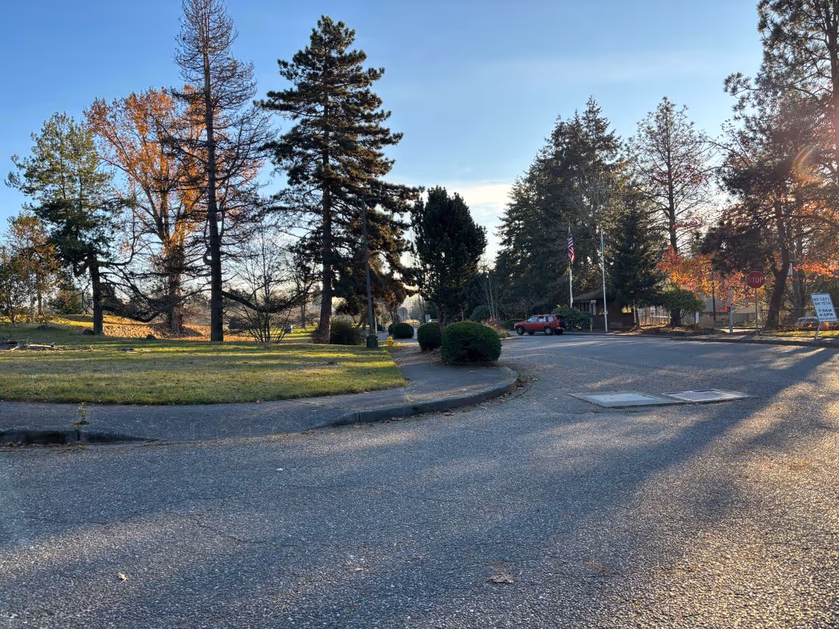 Sunlit outdoor campus entrance with trees, a grassy median, a curved roadway, flagpoles, and a parked red car.