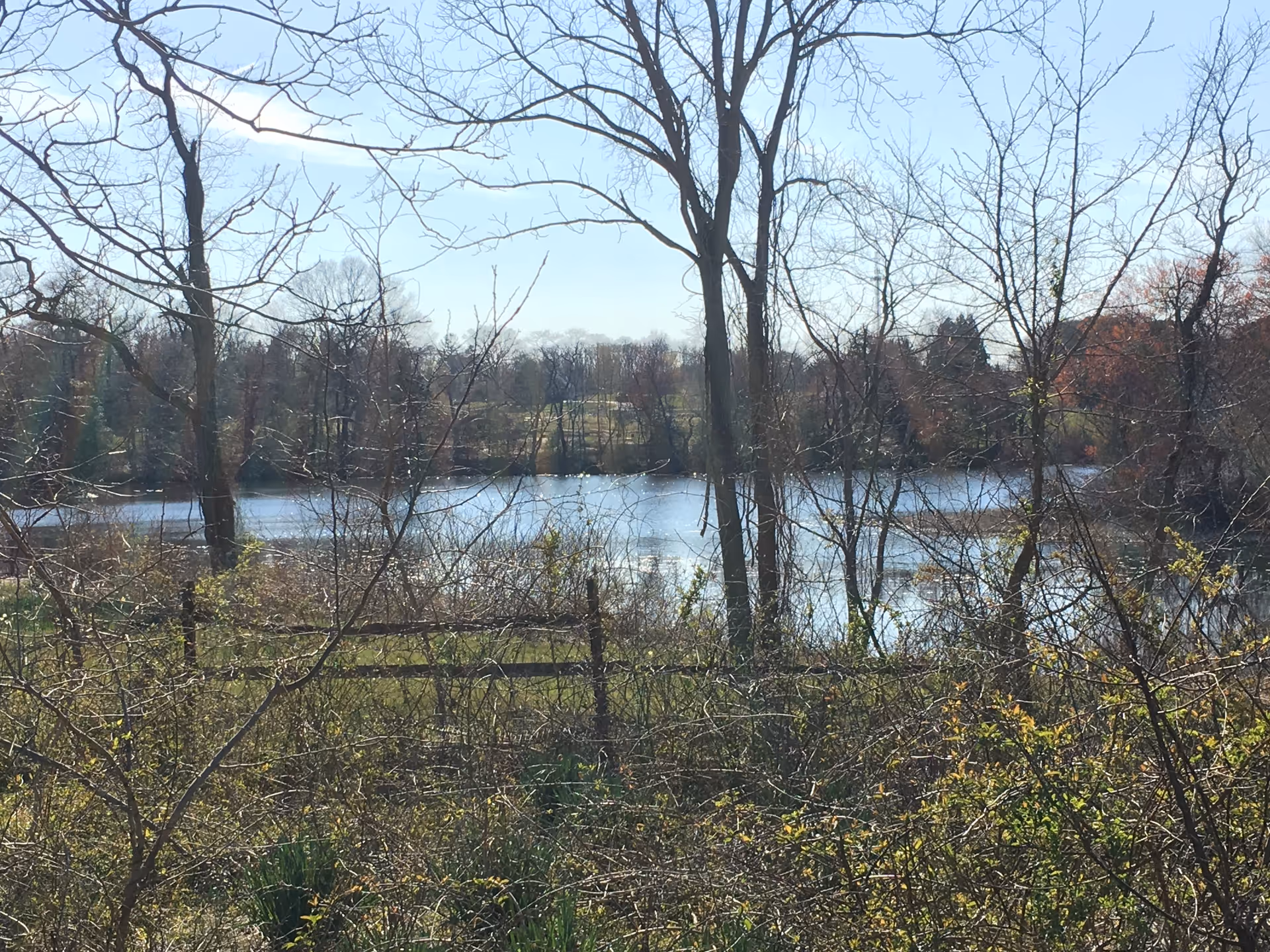View across a small lake seen through bare trees, brush, and a wooden fence in the foreground.