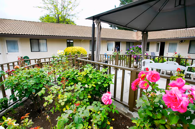 Courtyard garden with blooming pink roses, a gazebo and patio seating surrounded by a single-story residential building.
