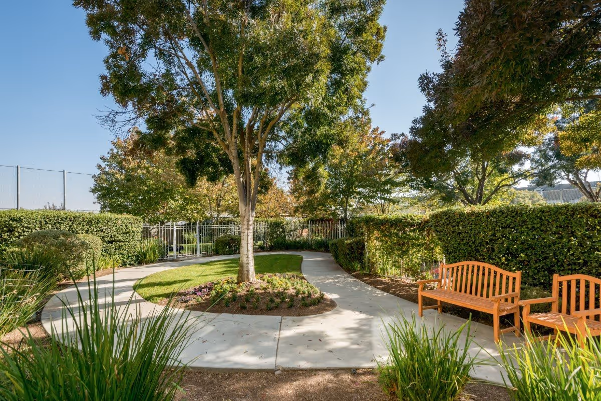 Sunlit courtyard with a winding paved path around a central tree, wooden benches, hedges and landscaped greenery.